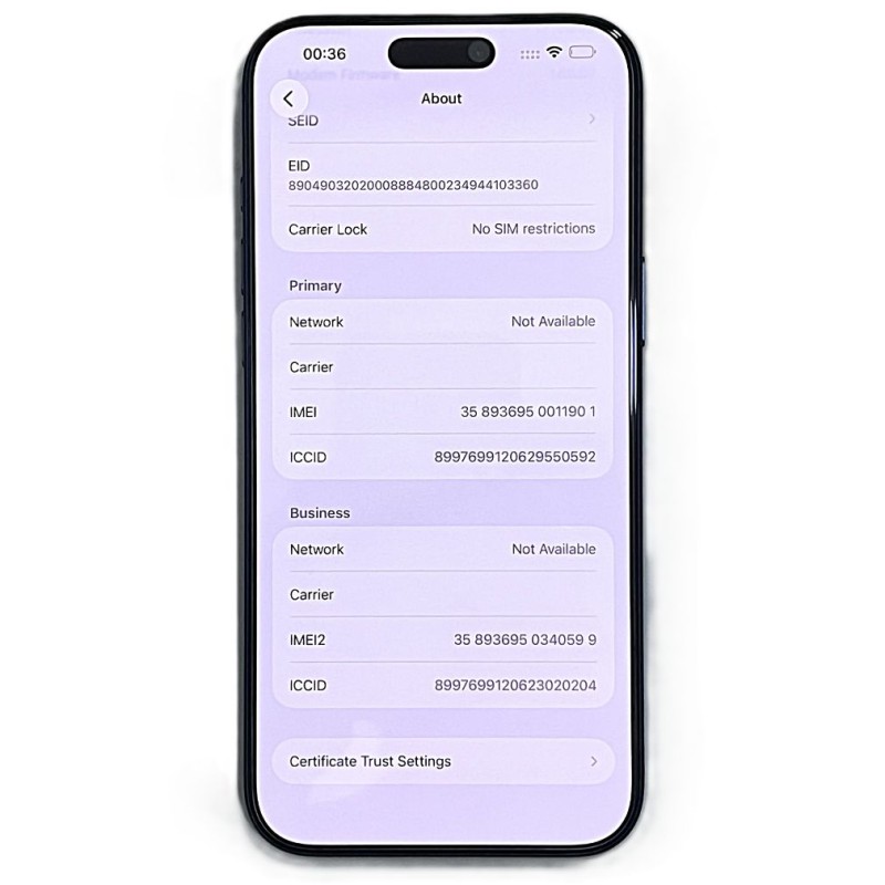 iPhone 17 Pro max /256GB/-